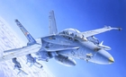 1/72 F/A-18 Wild Weasel - 016