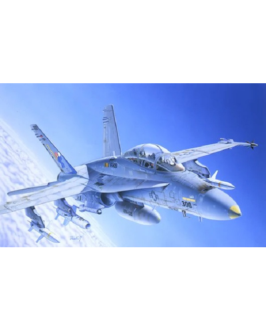 1/72 F/A-18 Wild Weasel - 016