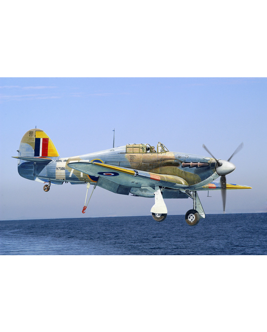 1- 48 Sea Hurricane -  Jan- 13